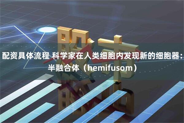 配资具体流程 科学家在人类细胞内发现新的细胞器：半融合体（hemifusom）