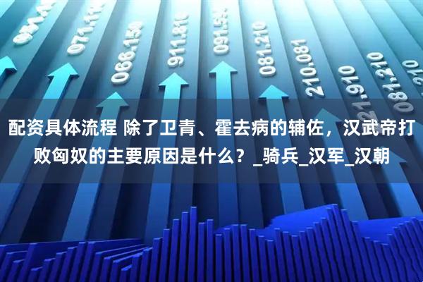 配资具体流程 除了卫青、霍去病的辅佐，汉武帝打败匈奴的主要原因是什么？_骑兵_汉军_汉朝
